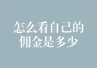 如何查询并理解自己的佣金收入：一份专业的指南