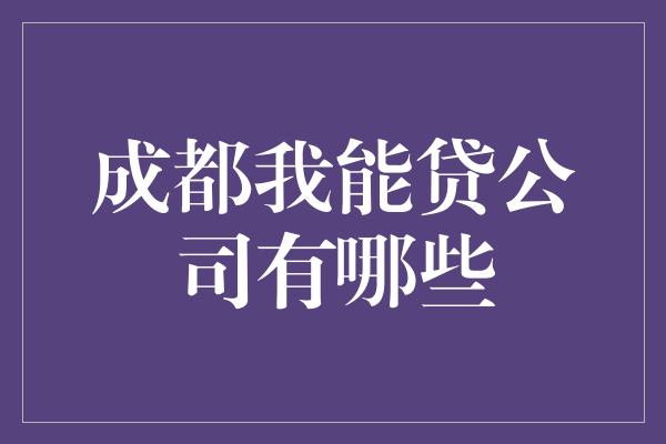 成都我能贷公司有哪些