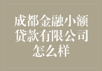 成都金融小额贷款有限公司：助力小微企业融资的稳健选择