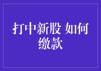 如何优雅地缴款，打中新股不再难