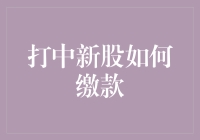 新股中签了？怎么缴款才不会错过下一个暴富机会？