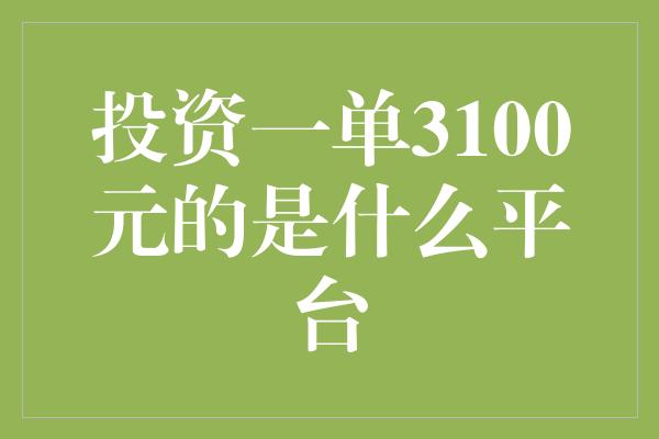 投资一单3100元的是什么平台