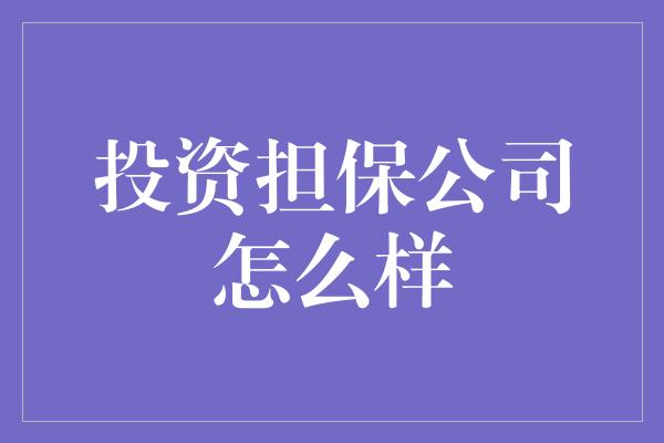 投资担保公司怎么样