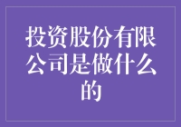 投资股份有限公司：控股与资本运作的艺术