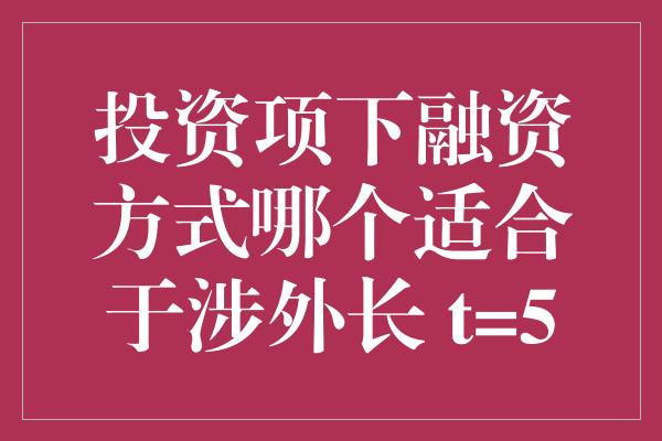 投资项下融资方式哪个适合于涉外长 t=5