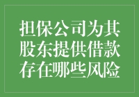 担保公司为其股东提供借款的风险评估与防范