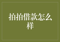 拍拍借款：现代金融科技服务的探索