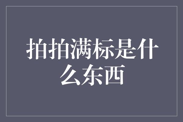 拍拍满标是什么东西