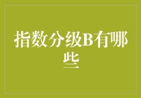 指数分级B是个啥？新手必看的科普文！