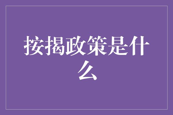 按揭政策是什么