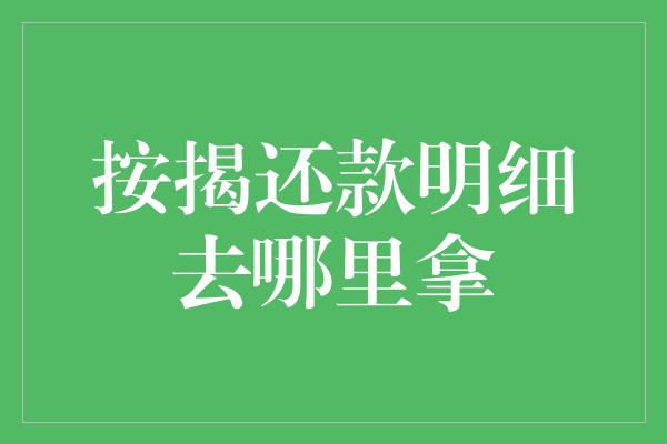 按揭还款明细去哪里拿