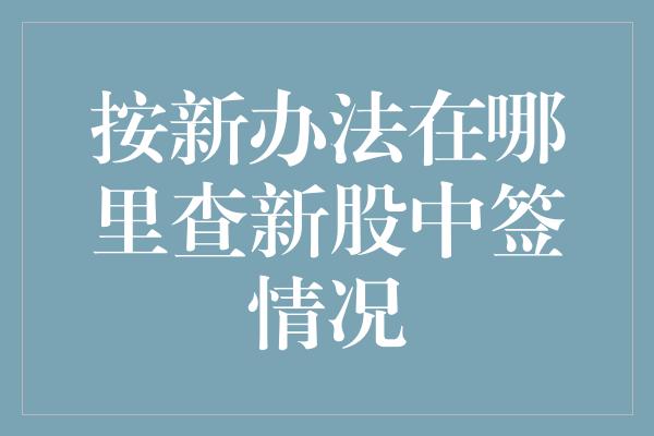 按新办法在哪里查新股中签情况