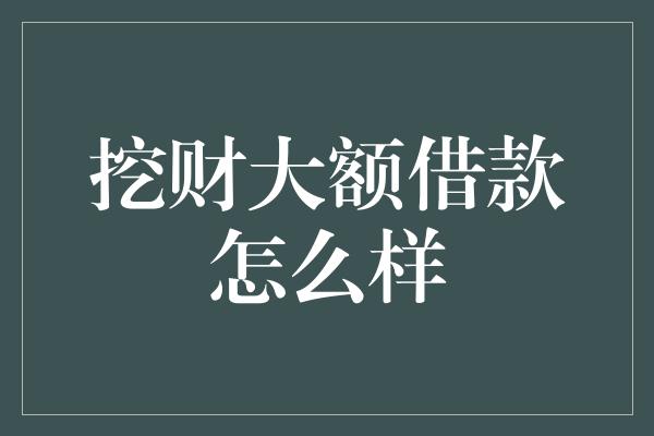 挖财大额借款怎么样