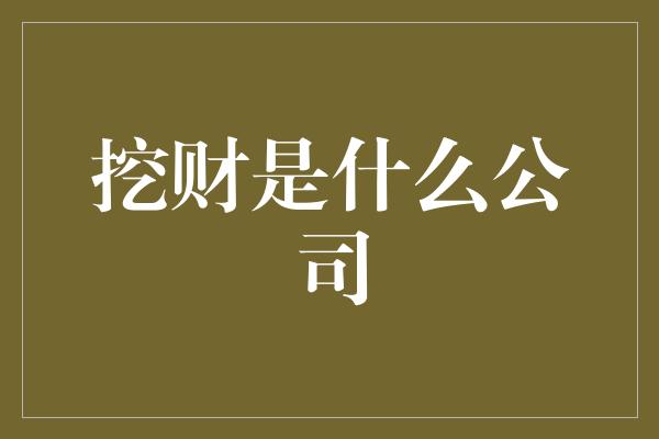 挖财是什么公司