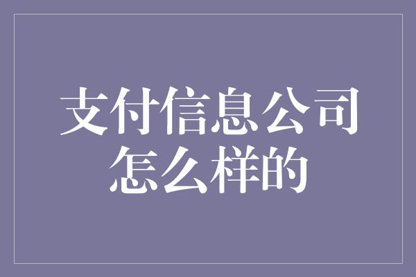 支付信息公司怎么样的