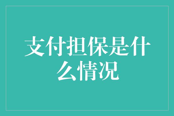 支付担保是什么情况