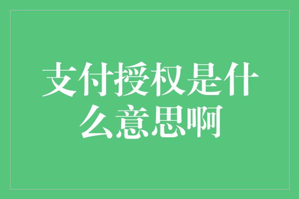 支付授权是什么意思啊