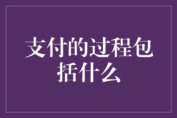 支付的过程包括什么