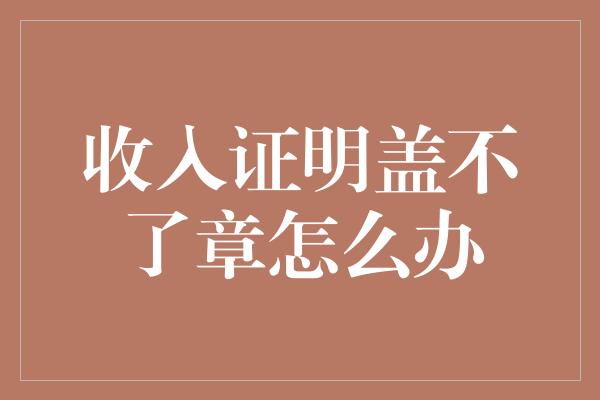 收入证明盖不了章怎么办