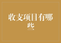 关于收支项目的深入解析与创新视角