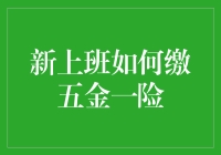 新员工入职须知：如何正确缴纳五金一险