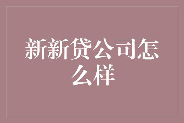 新新贷公司怎么样