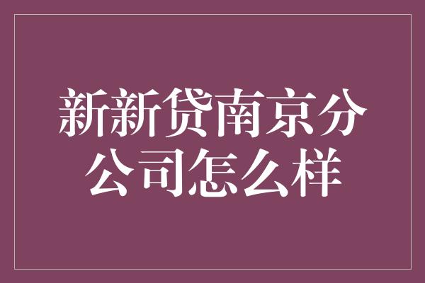 新新贷南京分公司怎么样