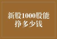 新股1000股的投资回报率分析与策略探讨