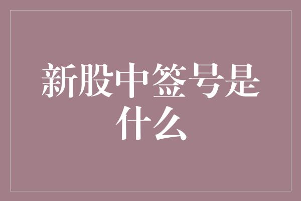 新股中签号是什么