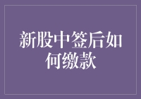 新股中签后如何正确缴款：流程解析与注意事项