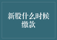 新股缴款攻略：如何成为一名快乐的股民？