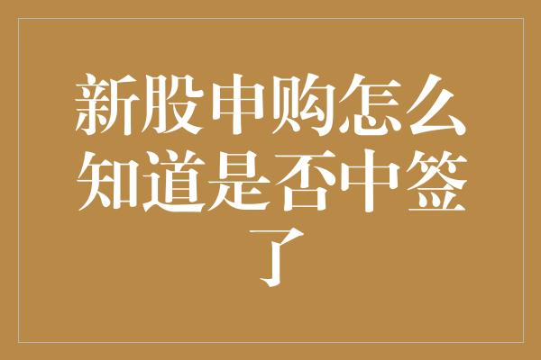 新股申购怎么知道是否中签了