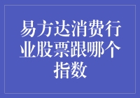 对比视角：易方达消费行业股票与中证消费指数的关联性分析