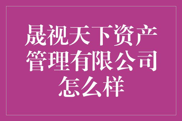 晟视天下资产管理有限公司怎么样