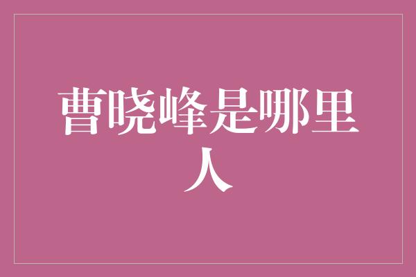 曹晓峰是哪里人