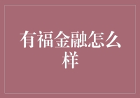 有福金融：互联网金融的新星？解析与评价