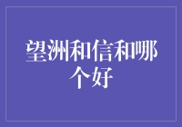 新手入门指南：望洲金融 VS 和信财富，谁更适合你的理财需求？