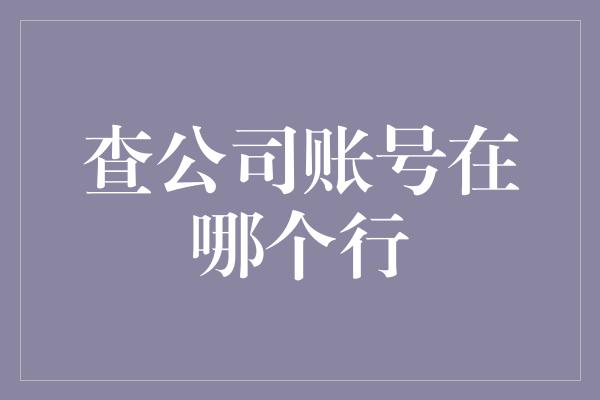 查公司账号在哪个行