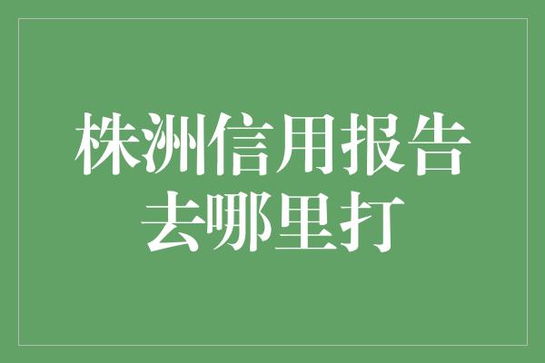 株洲信用报告去哪里打