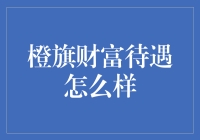 橙旗财富待遇解析：多维度视角下的职业与福利探讨