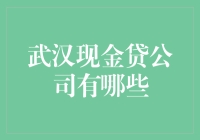 武汉现金贷公司的多元化与现状分析