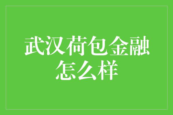 武汉荷包金融怎么样