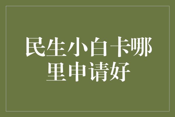 民生小白卡哪里申请好