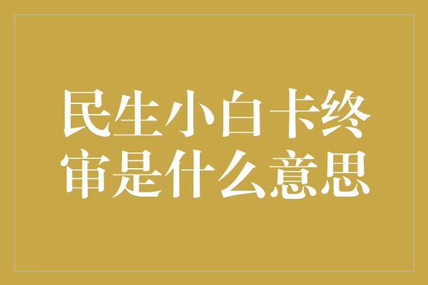 民生小白卡终审是什么意思