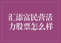 汇添富民营活力股票基金：深度解读与投资分析