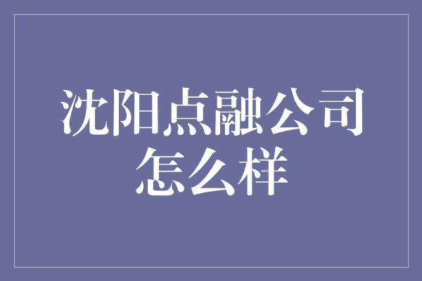 沈阳点融公司怎么样