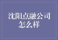 沈阳点融公司：金融科技与本地化服务的完美结合