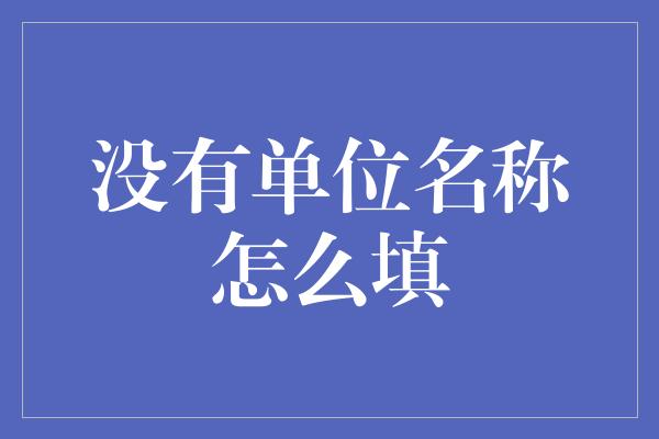 没有单位名称怎么填