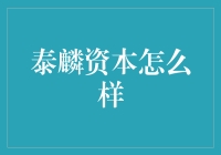 泰麟资本：引领未来投资趋势的佼佼者