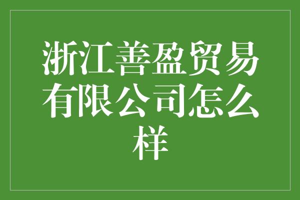 浙江善盈贸易有限公司怎么样